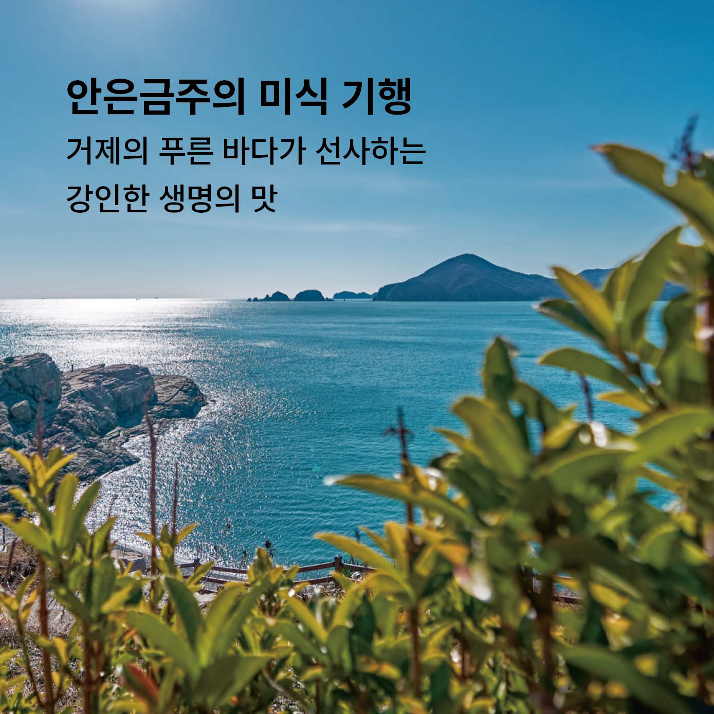 희망허브에 11번이미지